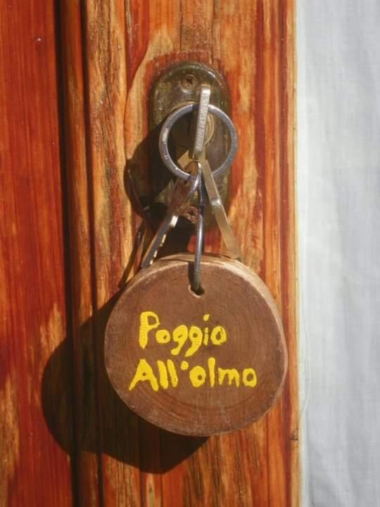 グレーヴェ・イン・キアンティ Agriturismo Poggio All'Olmoヴィラ エクステリア 写真