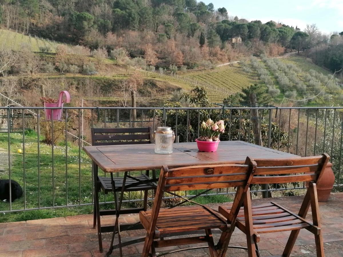 グレーヴェ・イン・キアンティ Agriturismo Poggio All'Olmoヴィラ エクステリア 写真