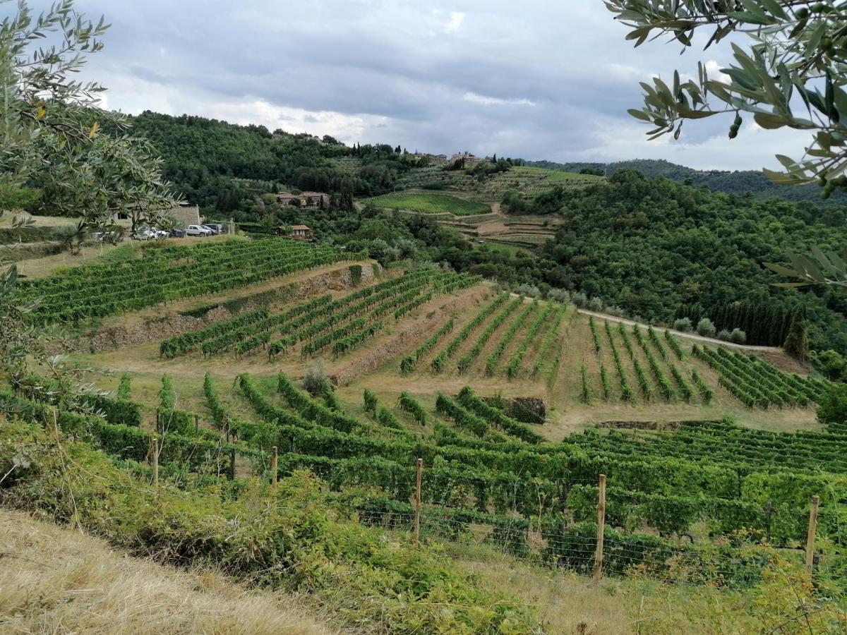 グレーヴェ・イン・キアンティ Agriturismo Poggio All'Olmoヴィラ エクステリア 写真