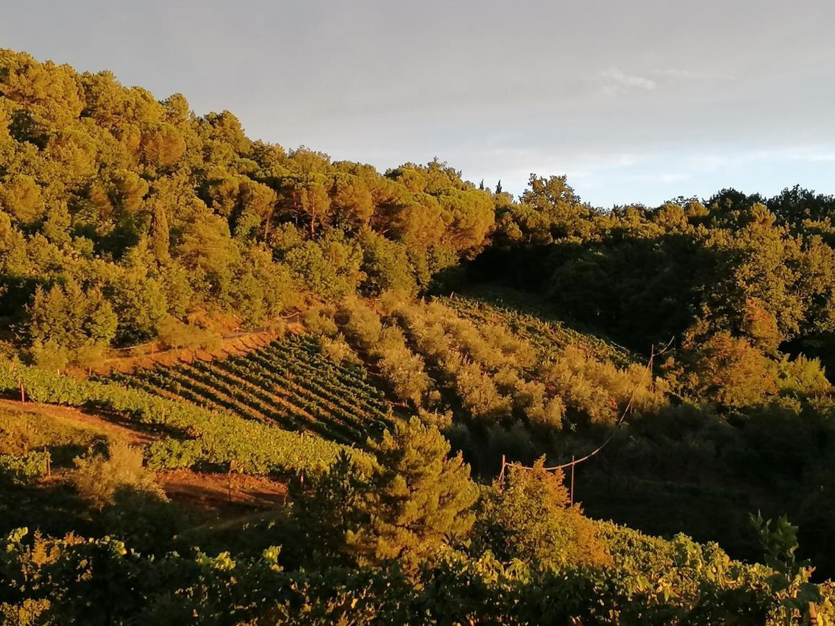 グレーヴェ・イン・キアンティ Agriturismo Poggio All'Olmoヴィラ エクステリア 写真
