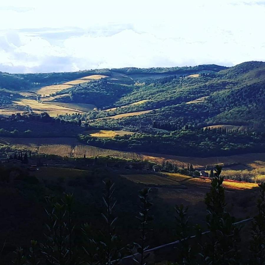 グレーヴェ・イン・キアンティ Agriturismo Poggio All'Olmoヴィラ エクステリア 写真