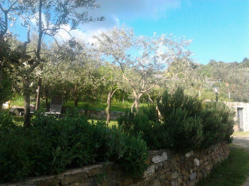 グレーヴェ・イン・キアンティ Agriturismo Poggio All'Olmoヴィラ エクステリア 写真
