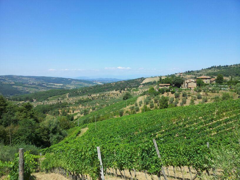 グレーヴェ・イン・キアンティ Agriturismo Poggio All'Olmoヴィラ エクステリア 写真