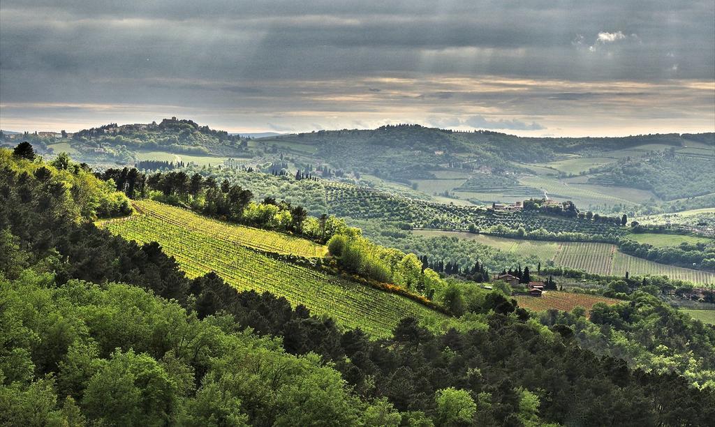 グレーヴェ・イン・キアンティ Agriturismo Poggio All'Olmoヴィラ エクステリア 写真