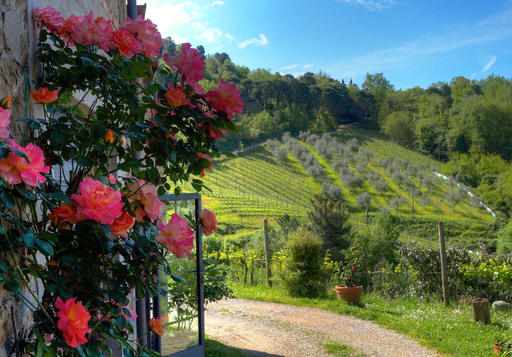 グレーヴェ・イン・キアンティ Agriturismo Poggio All'Olmoヴィラ エクステリア 写真
