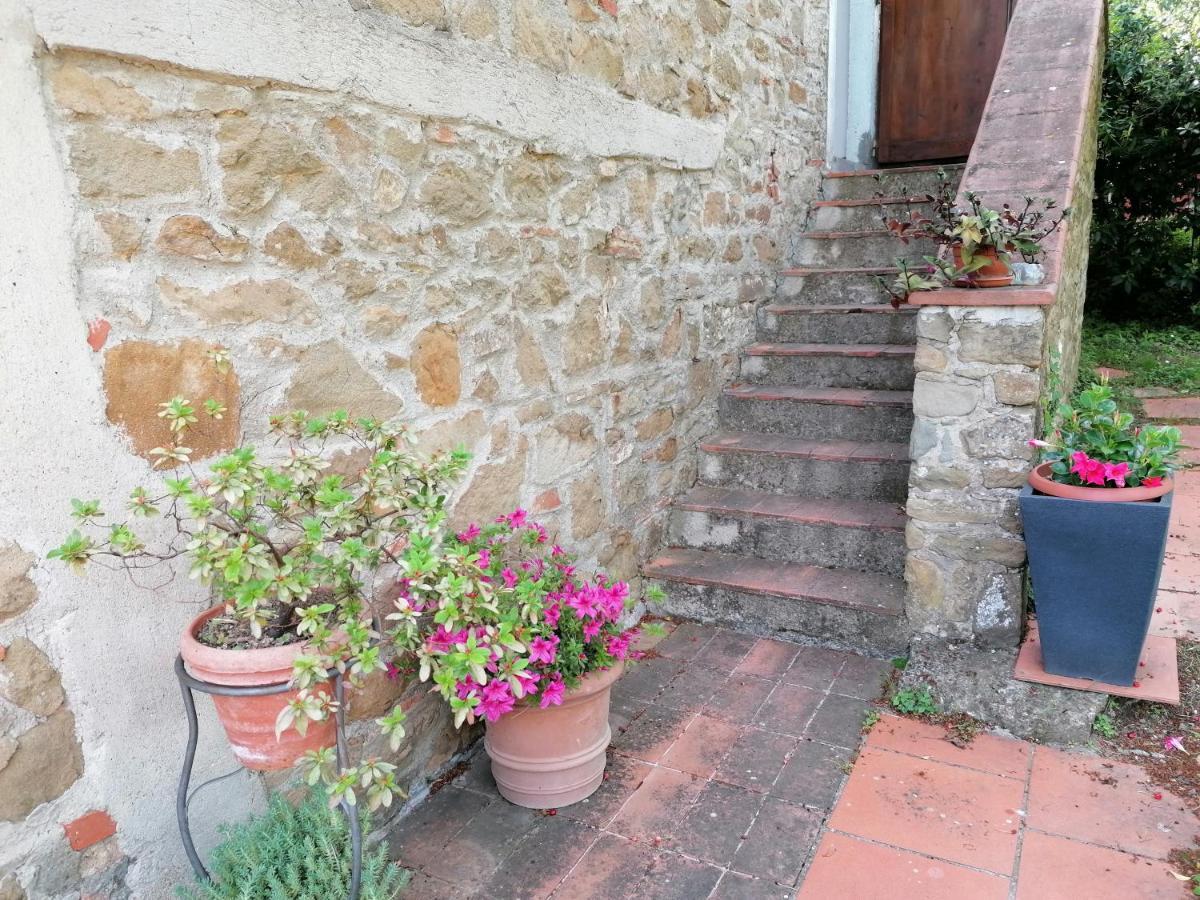 グレーヴェ・イン・キアンティ Agriturismo Poggio All'Olmoヴィラ エクステリア 写真